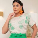 blusa de viscolinho